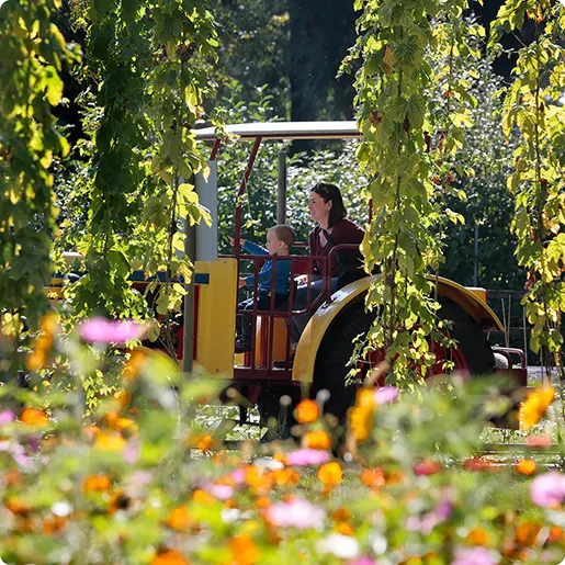 Spieleland_Hopfentage_Familien