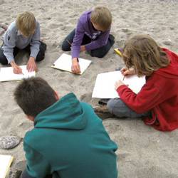 Ravensburger Puzzle Malen Nach Zahlen Baby Spielzeug Brettspiele Kinderbuch